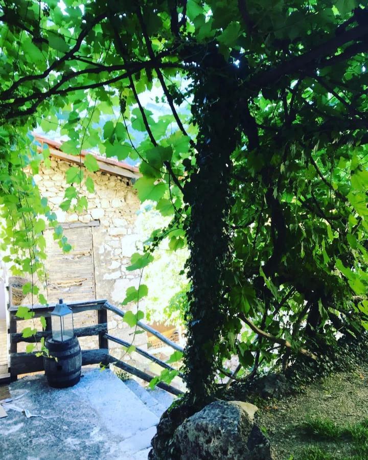 L'Echappee En Vercors Choranche Εξωτερικό φωτογραφία